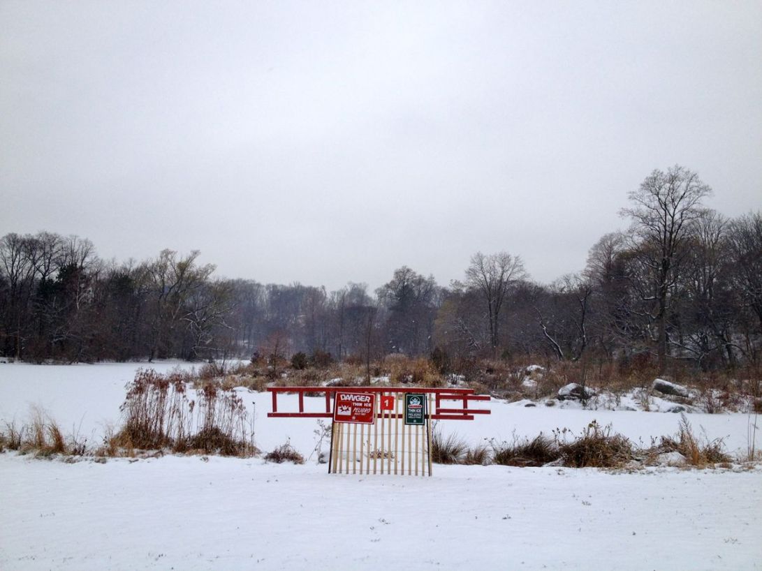 Photo by Mary Bakija