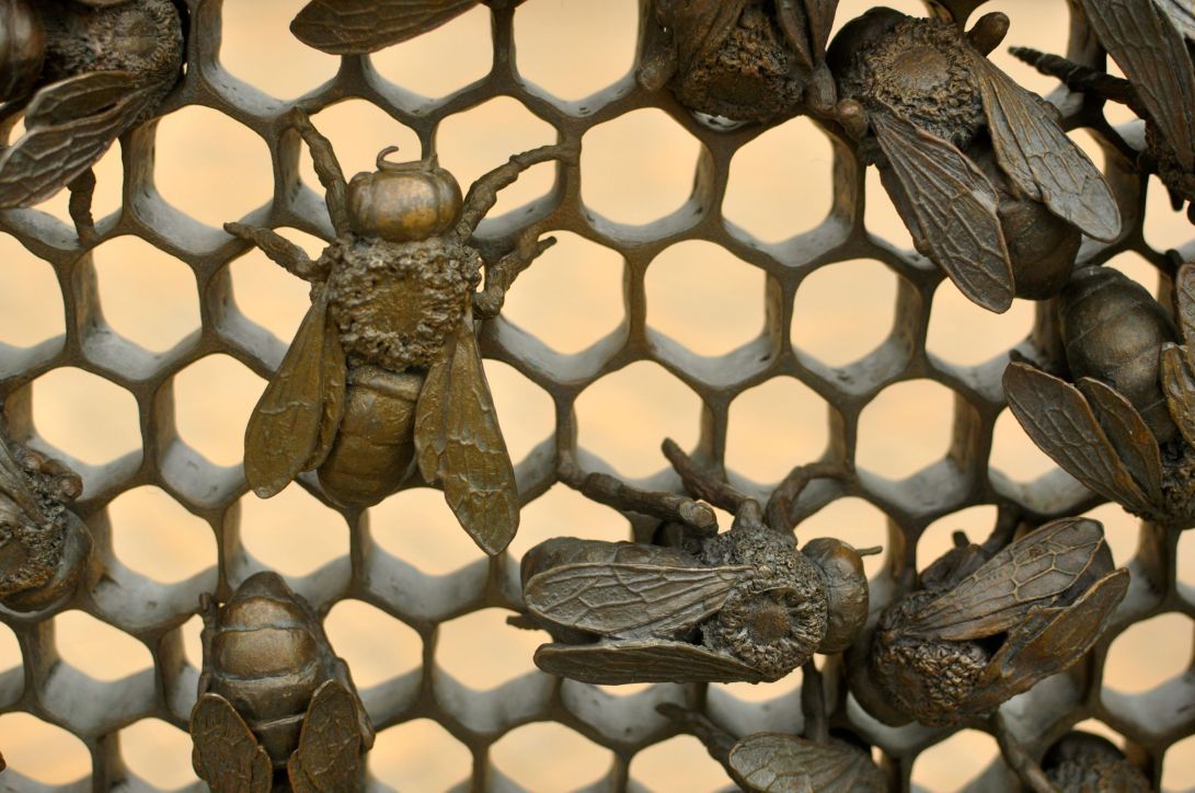 bees for sunset park