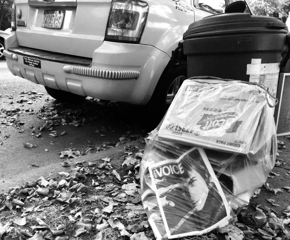 Village Voice in Recycling
